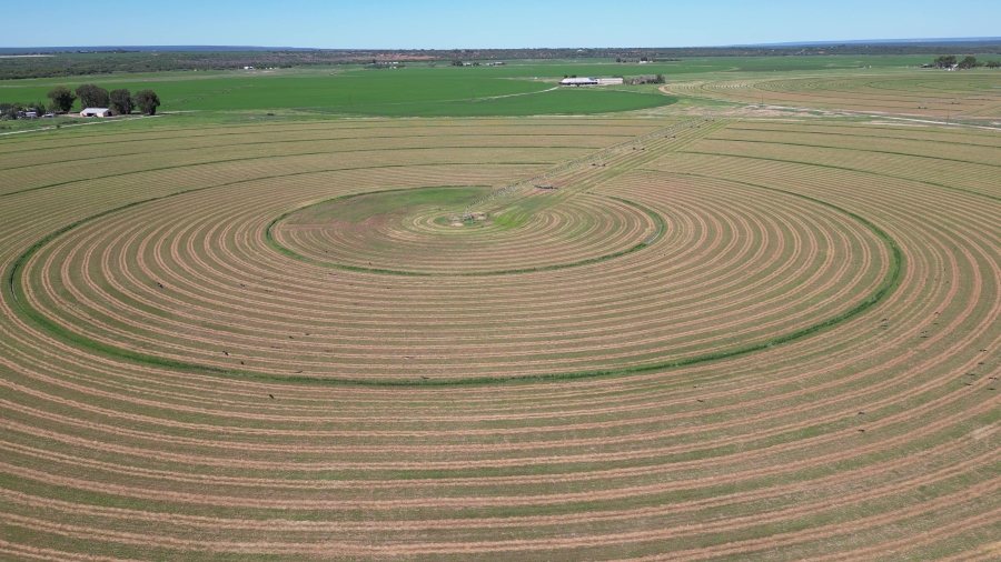 0 Bedroom Property for Sale in Douglas Rural Northern Cape